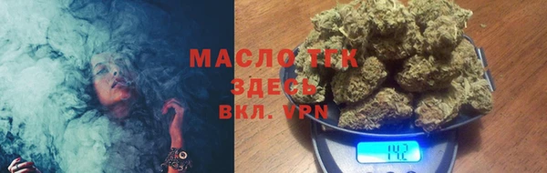 сатива Беломорск