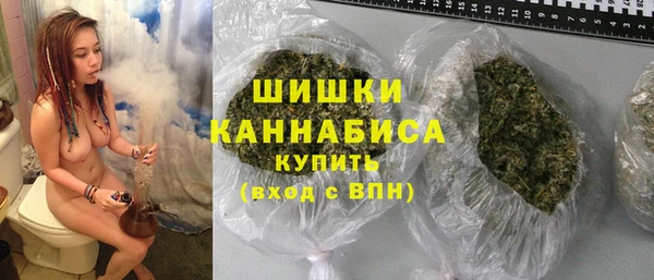 мдпв Бронницы